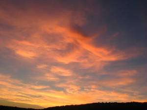 sunset2.jpg